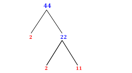 Prime Factorization of 44 with a Factor Tree